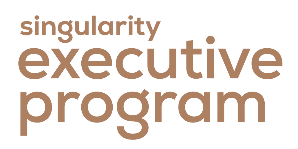 Singularity Singularity